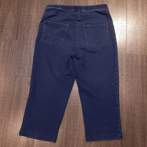 PETER NYGARD Denim Capri Pants Pull On Jeans Stretchy - Picture 8 of 10